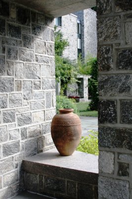 IMG_9918.JPG