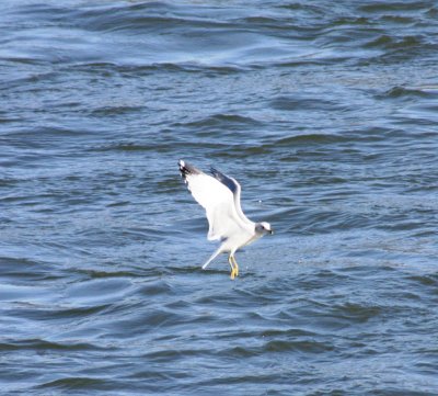 IMG_5468.JPG
