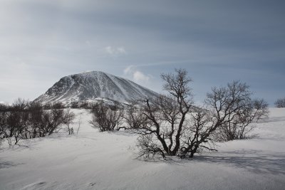 g4/91/733591/3/134304834.TxKKIT14.jpg