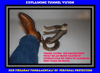 HGRP Model Knox Rattlesnake Tunnel Vision HGR Firearms.jpg