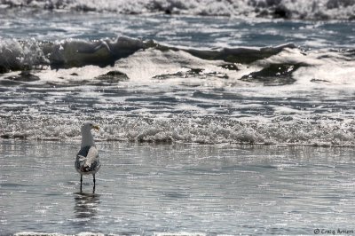 Cape May, NJ