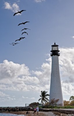 Pelicans Over Lighthouse