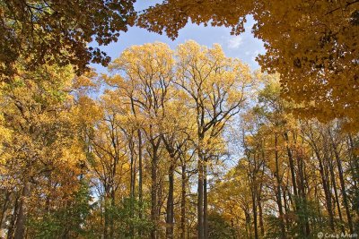 Valley Forge National Park - Fall