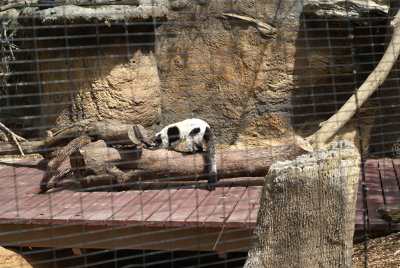 DSC00672.JPG