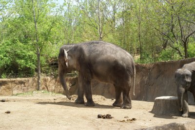 DSC00682.JPG