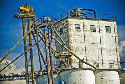 farmlr1-71f.jpg