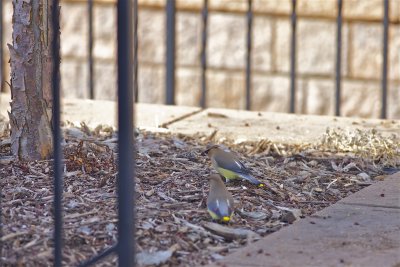 IMG_8890.jpg