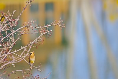 IMG_8946.jpg