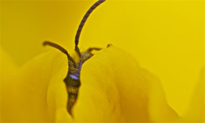 IMG_1248.jpg