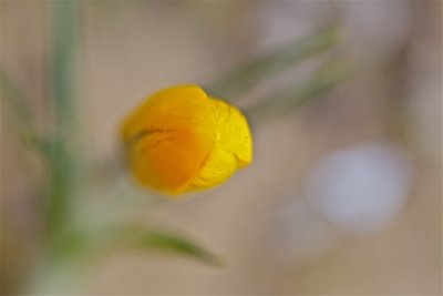 IMG_9242.jpg