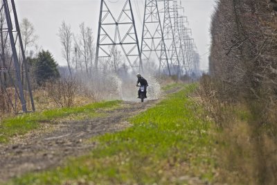 IMG_2110.jpg