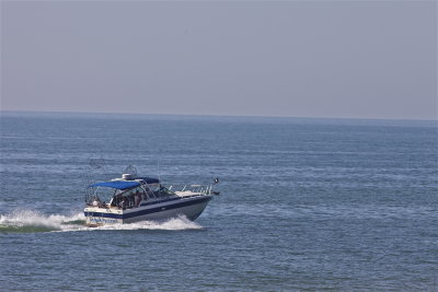 IMG_8611.jpg