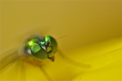 IMG_8788.jpg