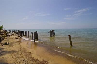 IMG_1556.jpg