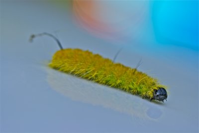 IMG_9627.jpg