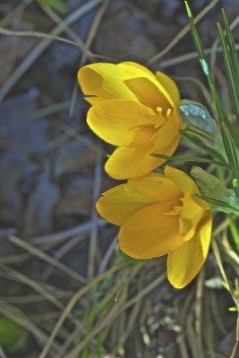 IMG_7699.jpg