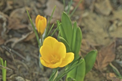 IMG_7727.jpg