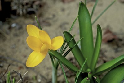 IMG_7755.jpg