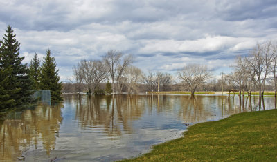 Flooded Park