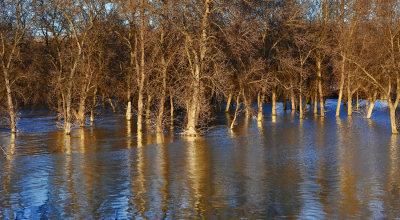 Flood in late sun...