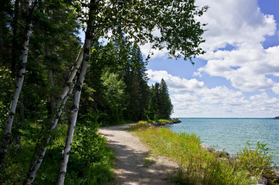 Afternoon on the trail