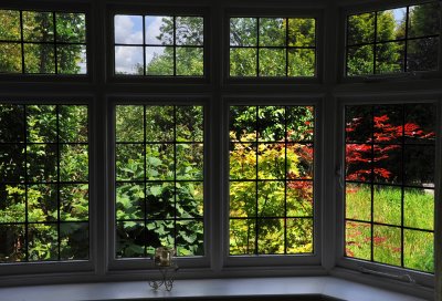 Garden view, Derbyshire U.K.