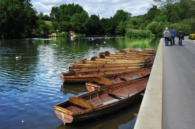 Boats and Canada Geese