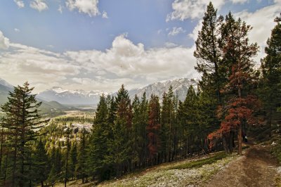West view from Tunnel Mountain