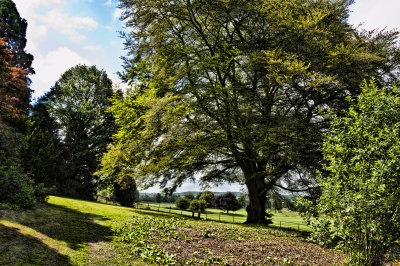 Makeney Hall surroundings