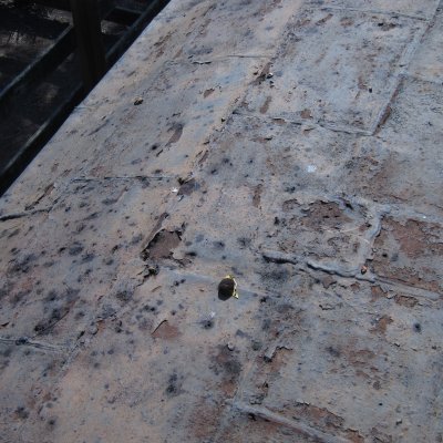 SP 1010 Roof 2