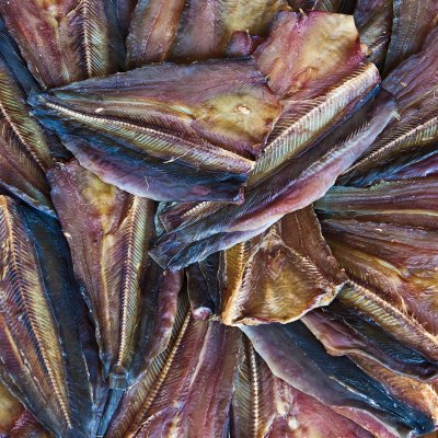 multicoloured dried fish