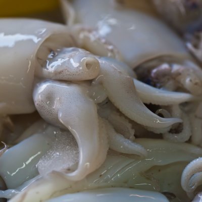 Squid in Jomtien market
