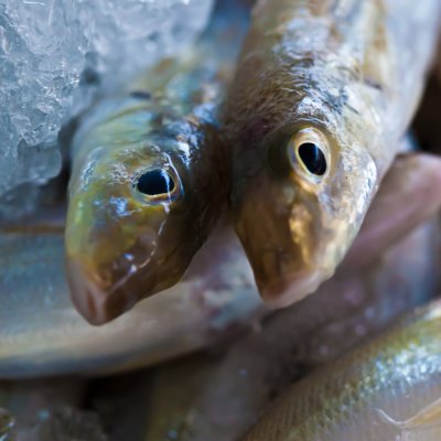 Two fish on ice in Jomtien market
