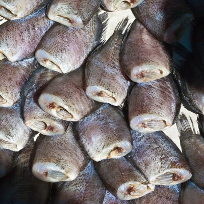 Beheaded fish, Bang Saray Market