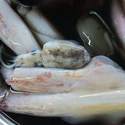 Seafood at South-East Asian markets