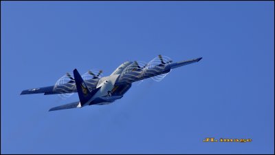 g4/91/788891/3/138800441.ly1JQ9gK.jpg