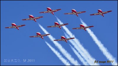 Blue Angels in SF 2011