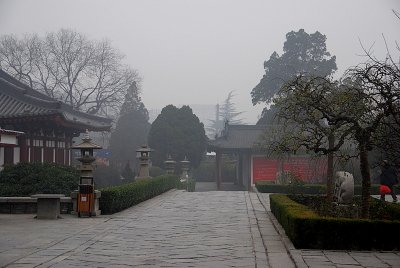 DSC_0270.JPG