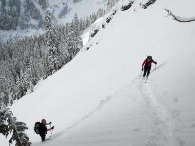 Following the summer trail