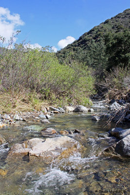 We walked after a rain at the end of Silverado Canyon