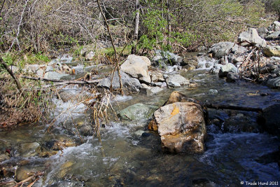 Forget the road, we followed the stream until it diverged