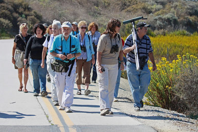 Docent Day Bird Walk at Upper Newport Bay