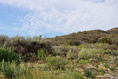 Perfect day at Laguna Coast Wilderness