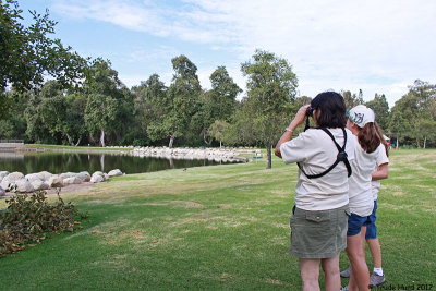 Sea and Sage Audubon offers a camp for youth about backyard wildlife