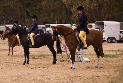 2011 Maldon Show024.jpg