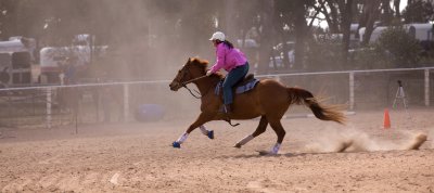 2011 Maldon Show040.jpg