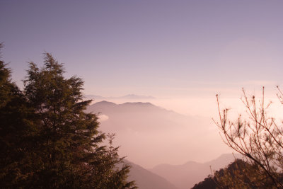 Elevation 2450 meters