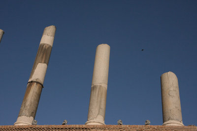 roma
