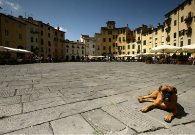 Lucca