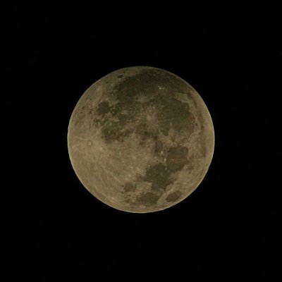 Bella Luna - Beautiful Moon